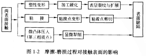 摩擦磨损过程对接触表面的影响